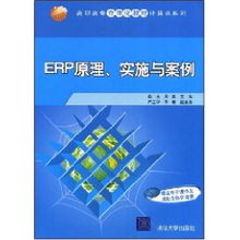 ERP系統原理、實施與網絡技術應用——以肖玉案例為視角